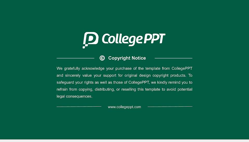 Lees-Mcrae College Resume PPT Template16:9 ratio PPT effect preview image5