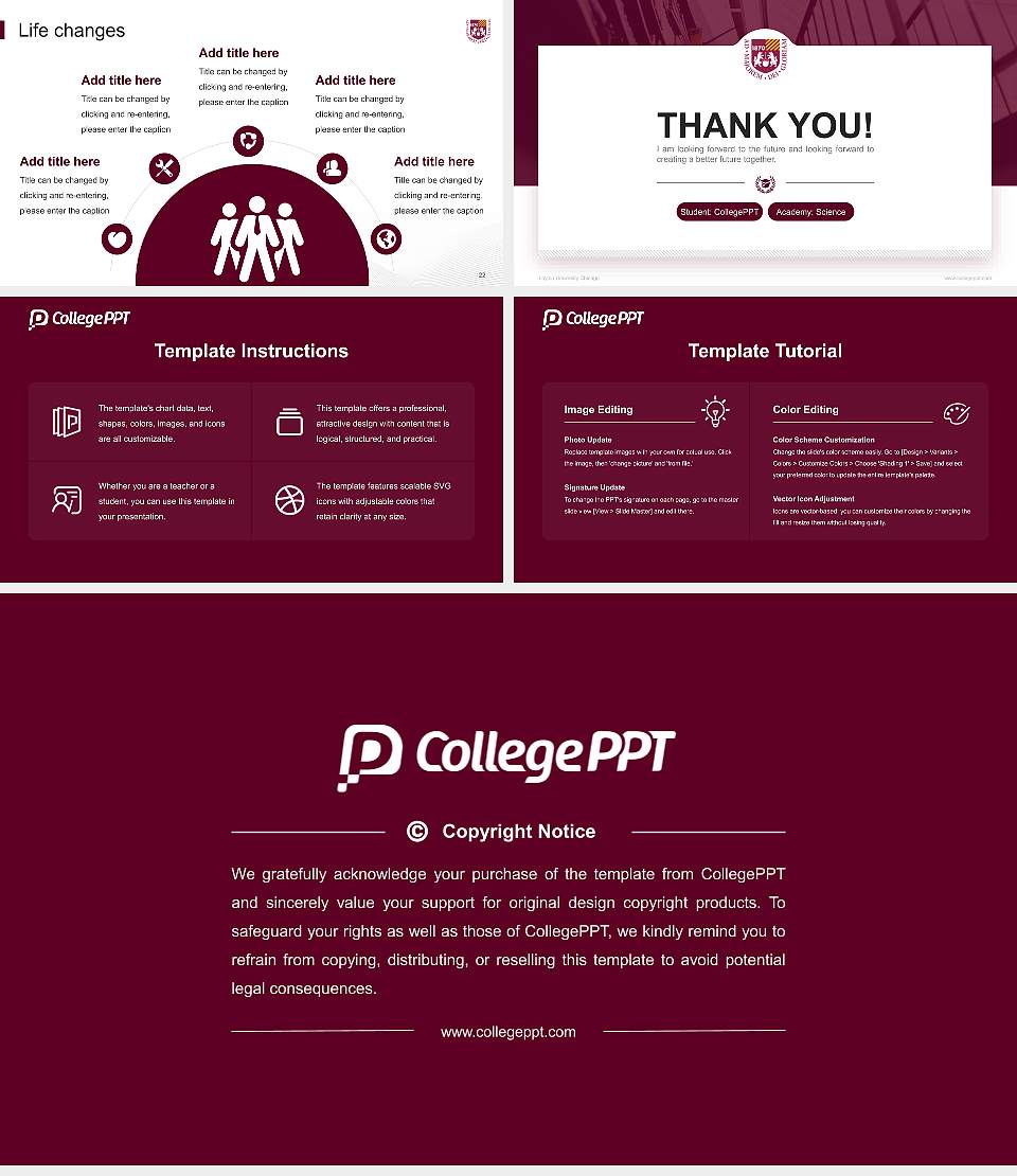 Loyola University Chicago National Scholarship Defense PPT Template16:9 ratio PPT effect preview image4
