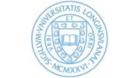 Long Island University