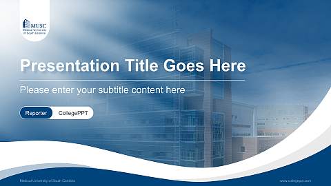 Medical University of South Carolina Lecture Sharing and Networking Event PPT Template