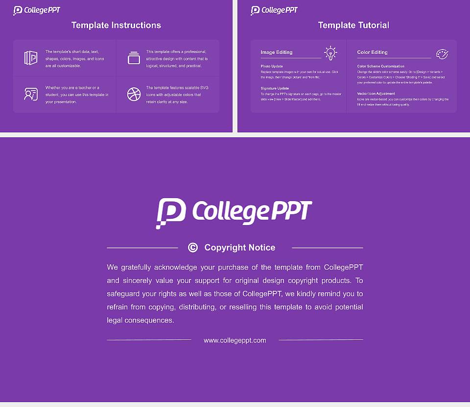 Nazareth University Course/Courseware Creation PPT Template16:9 ratio PPT effect preview image5