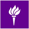 New York University