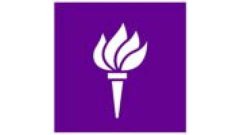 New York University