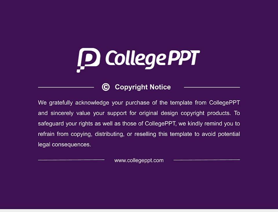 Niagara University Resume PPT Template4:3 ratio PPT effect preview image5