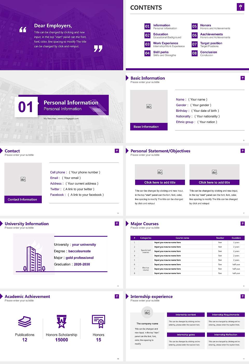 New York University Resume PPT Template16:9 ratio PPT effect preview image2