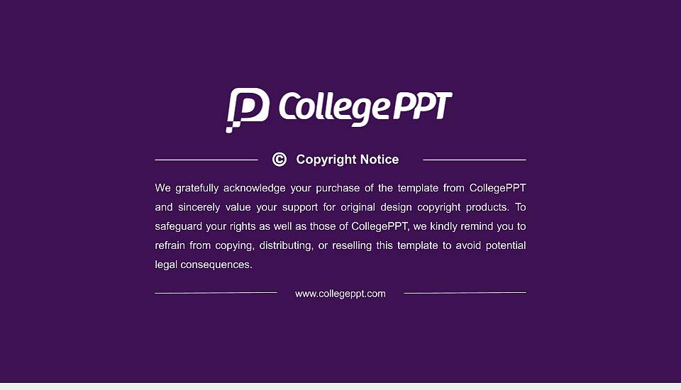 Niagara University Resume PPT Template16:9 ratio PPT effect preview image5