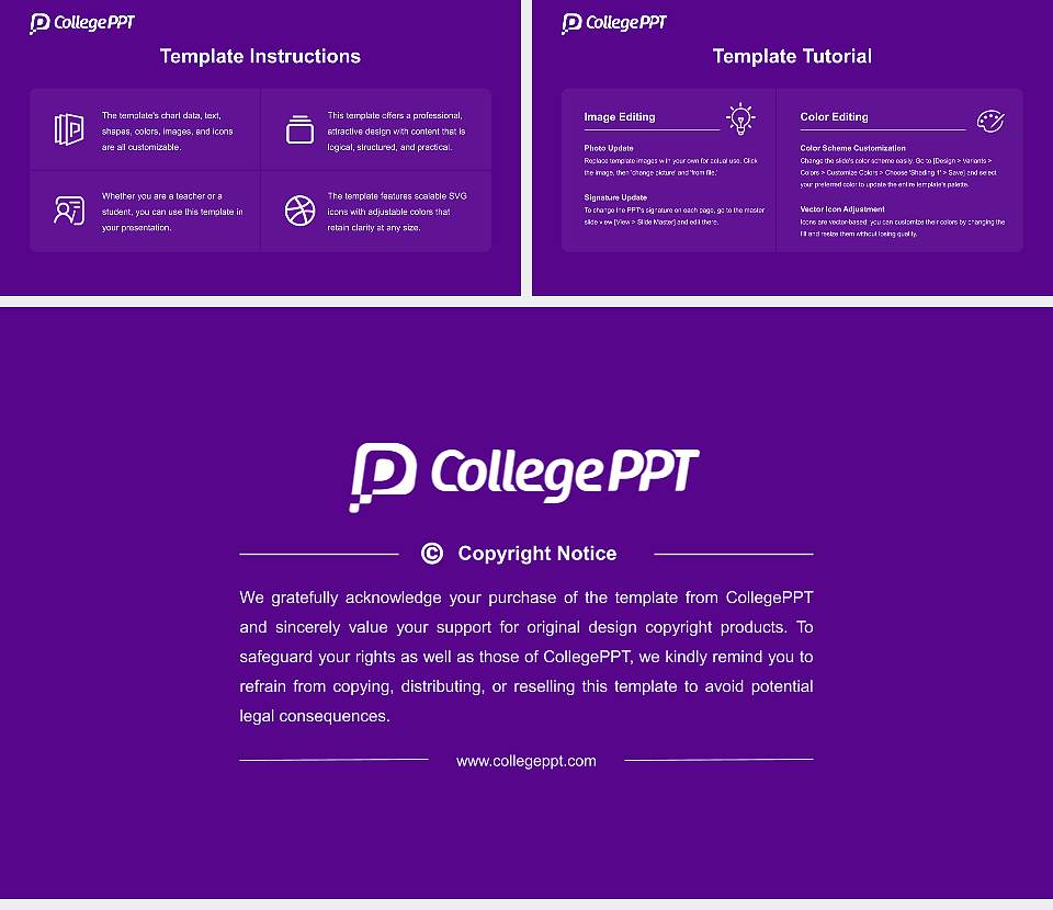 New York University Academic Presentation/Research Findings Report PPT Template16:9 ratio PPT effect preview image5