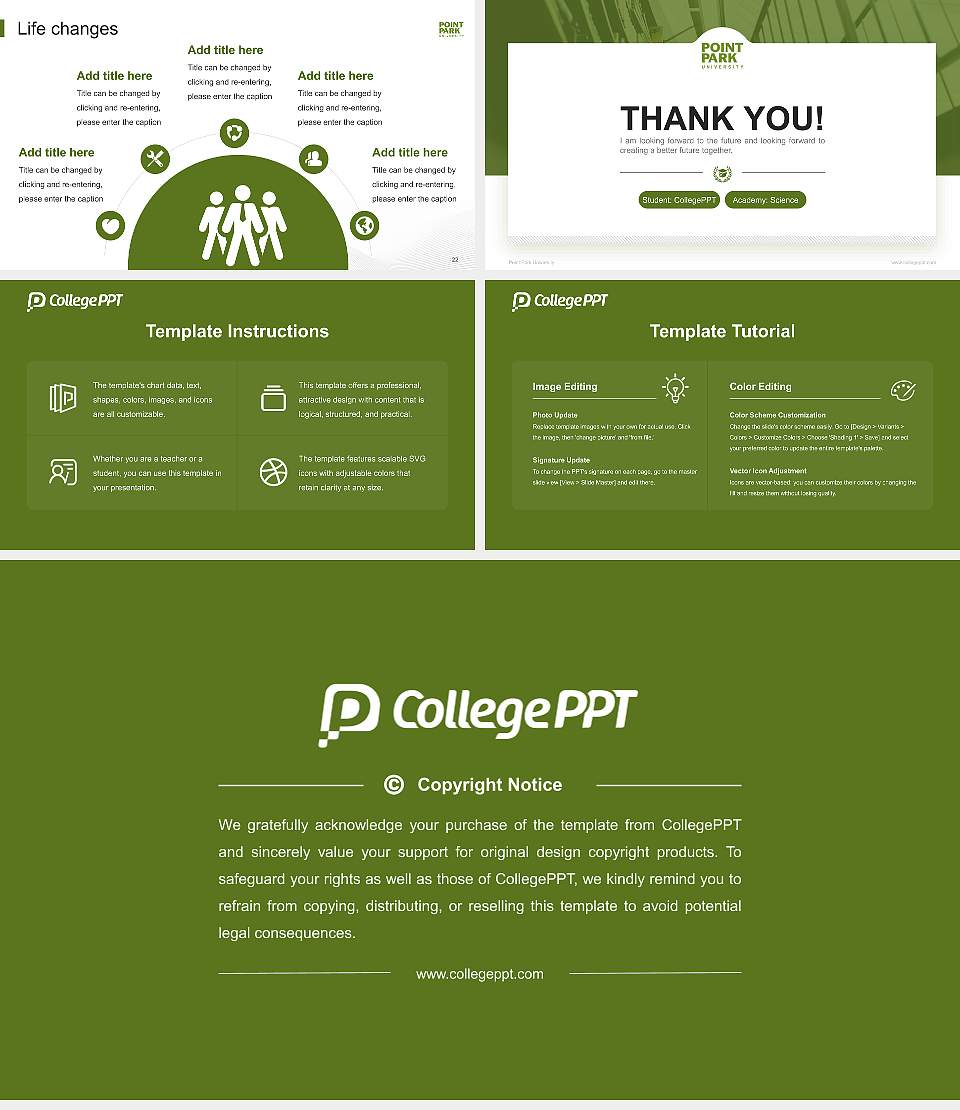 Point Park University National Scholarship Defense PPT Template16:9 ratio PPT effect preview image4