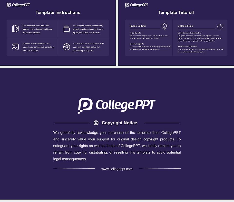 Paier College of Art Inc Course/Courseware Creation PPT Template16:9 ratio PPT effect preview image5
