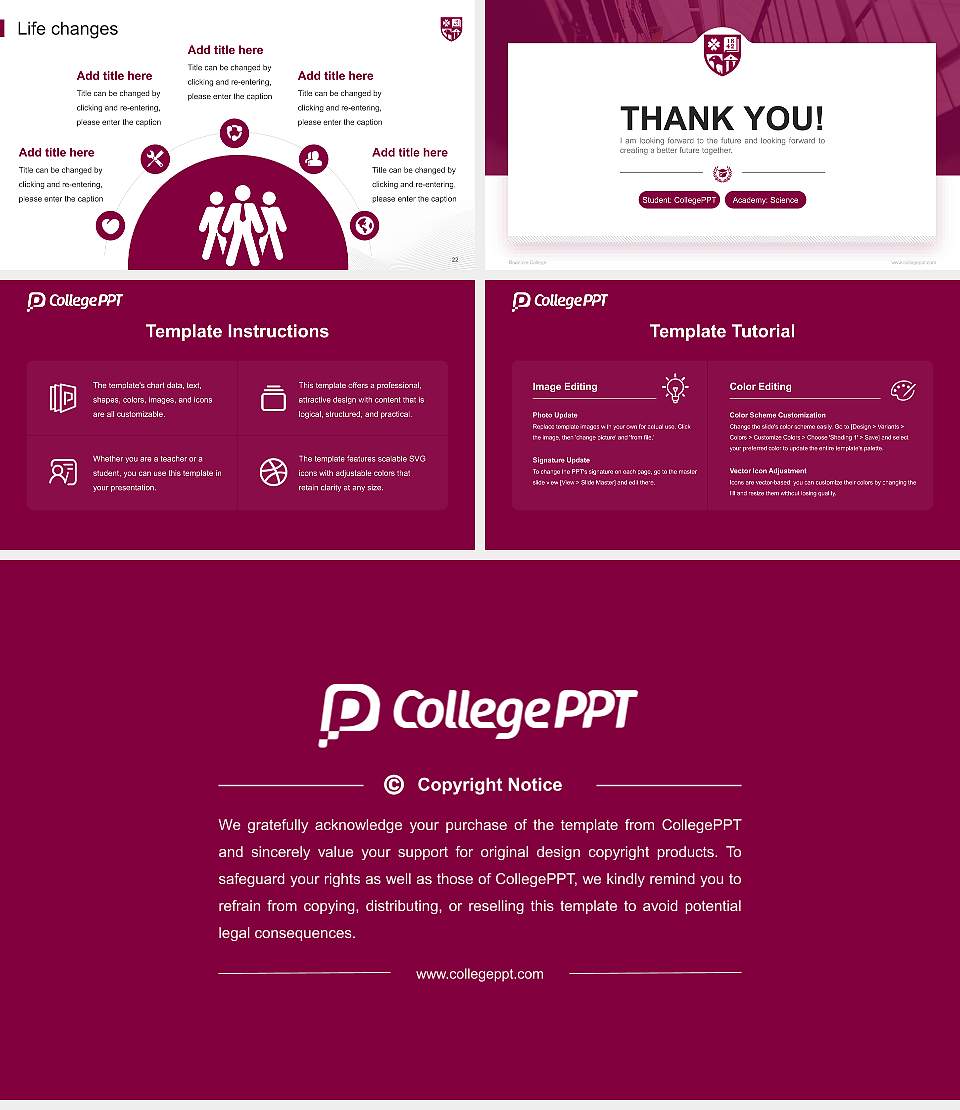 Roanoke College National Scholarship Defense PPT Template16:9 ratio PPT effect preview image4