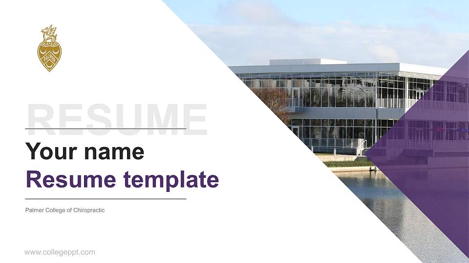 Palmer College of Chiropractic Resume PPT Template16:9 ratio PPT effect preview image