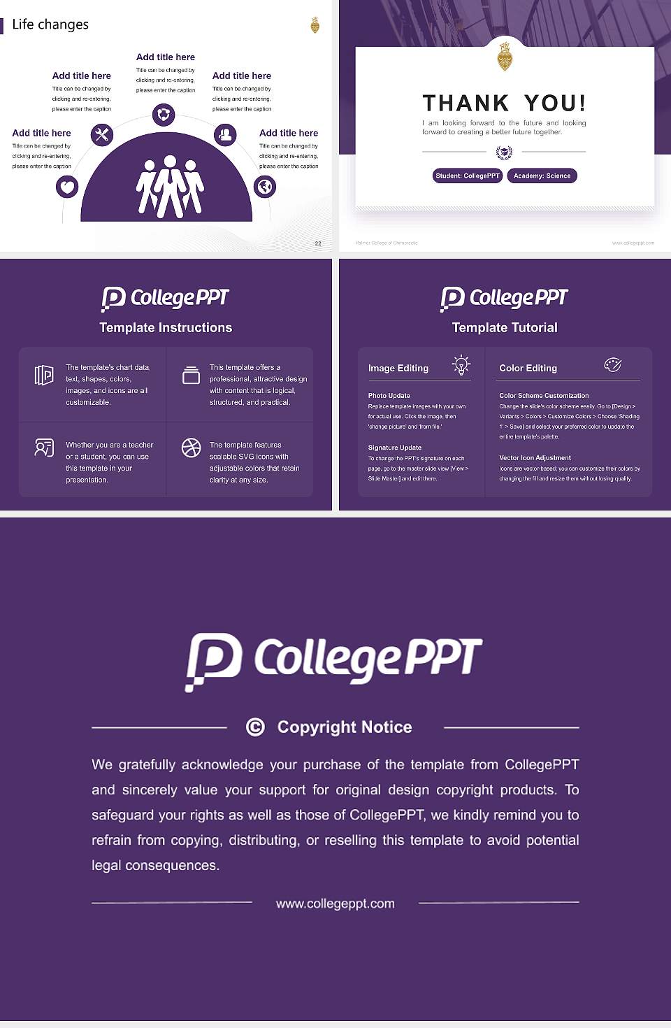 Palmer College of Chiropractic National Scholarship Defense PPT Template4:3 ratio PPT effect preview image4