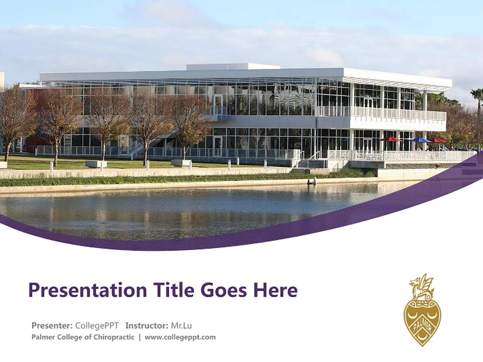 Palmer College of Chiropractic Course/Courseware Creation PPT Template4:3 ratio PPT effect preview image5