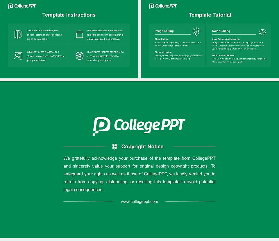Roosevelt University Course/Courseware Creation PPT Template16:9 ratio PPT effect preview image5