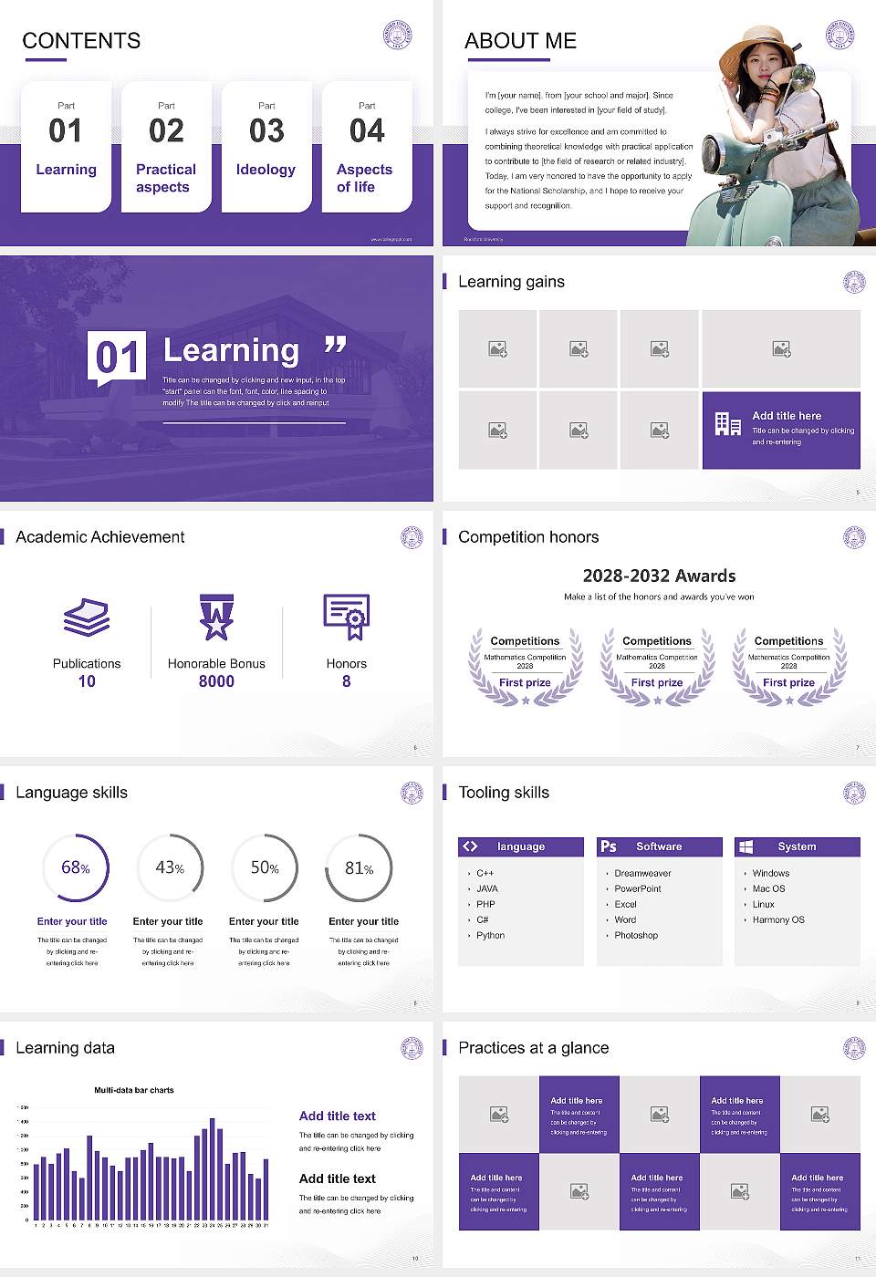 Rockford University National Scholarship Defense PPT Template16:9 ratio PPT effect preview image2