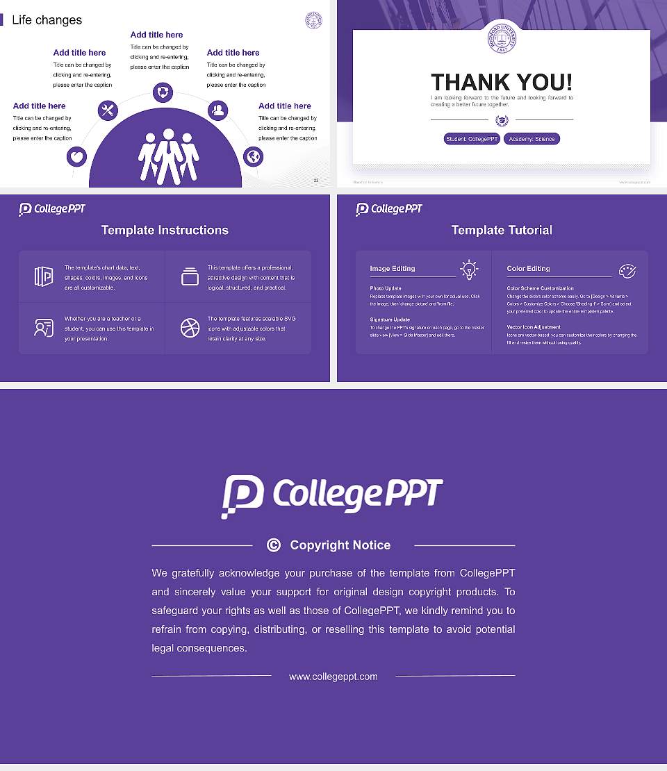 Rockford University National Scholarship Defense PPT Template16:9 ratio PPT effect preview image4