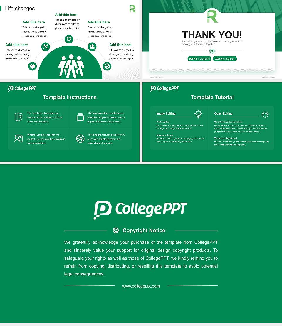 Roosevelt University National Scholarship Defense PPT Template16:9 ratio PPT effect preview image4