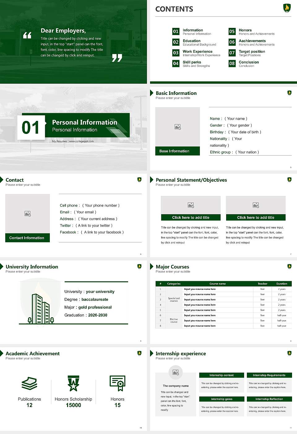 Rasmussen University – Wausau, Wisconsin Resume PPT Template16:9 ratio PPT effect preview image2