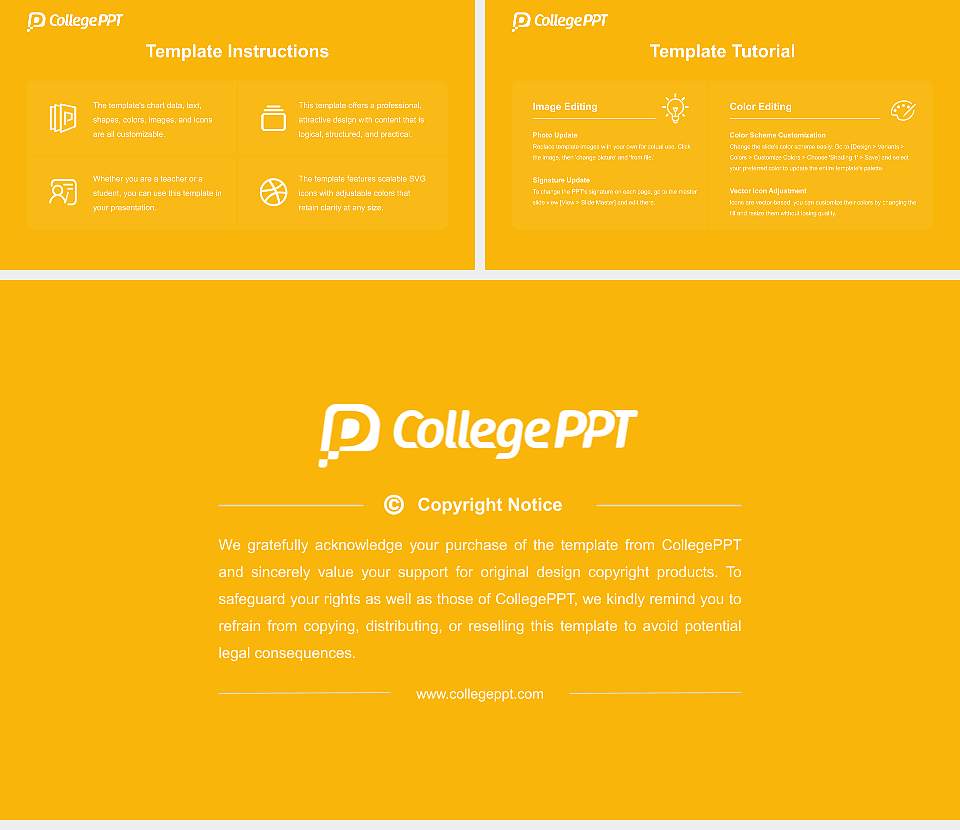 Reinhardt University Course/Courseware Creation PPT Template16:9 ratio PPT effect preview image5