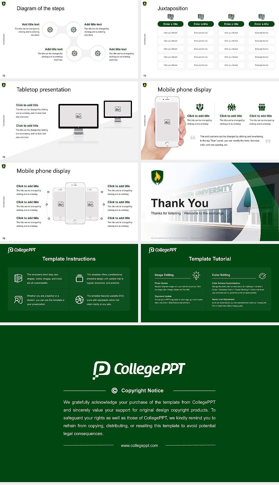 Rasmussen University – Tampa Brandon Competition/Entrepreneurship Contest PPT Template16:9 ratio PPT effect preview image9