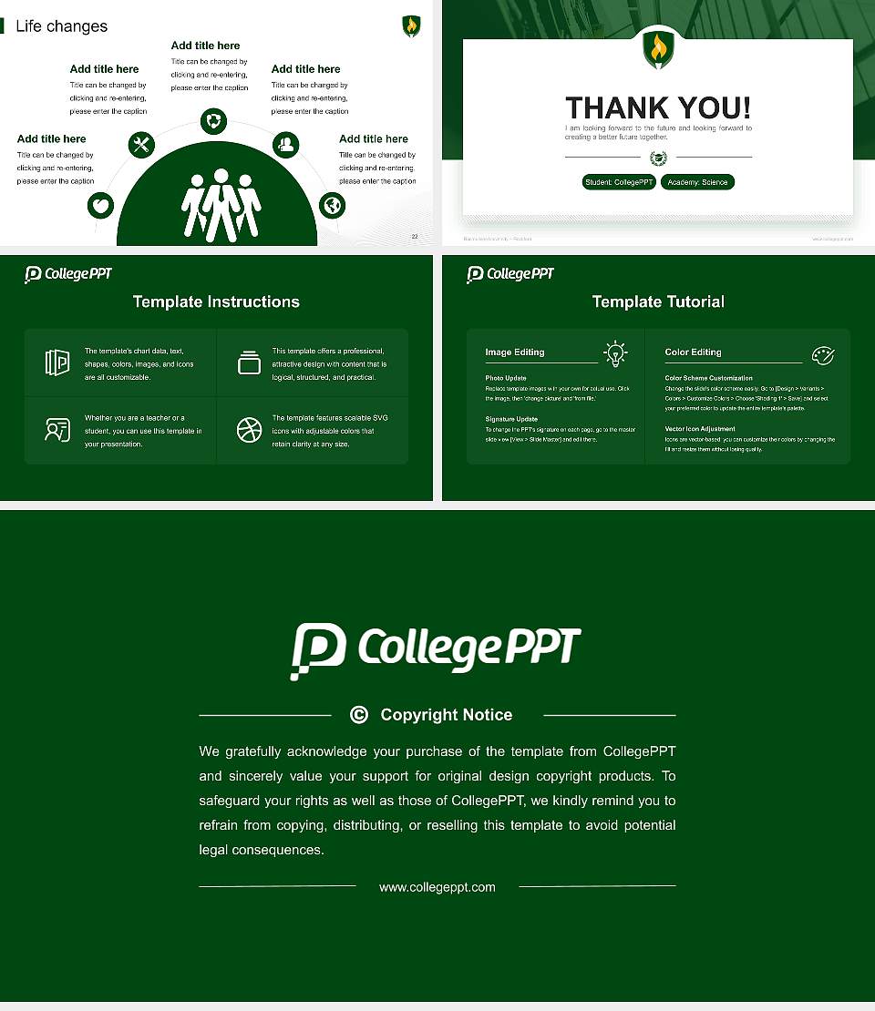 Rasmussen University – Rockford National Scholarship Defense PPT Template16:9 ratio PPT effect preview image4