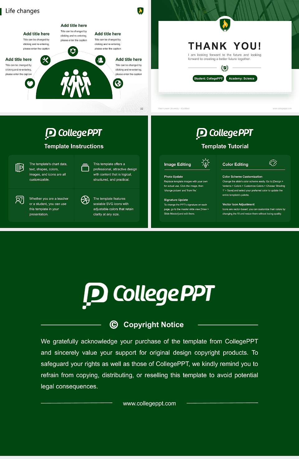Rasmussen University – Rockford National Scholarship Defense PPT Template4:3 ratio PPT effect preview image4