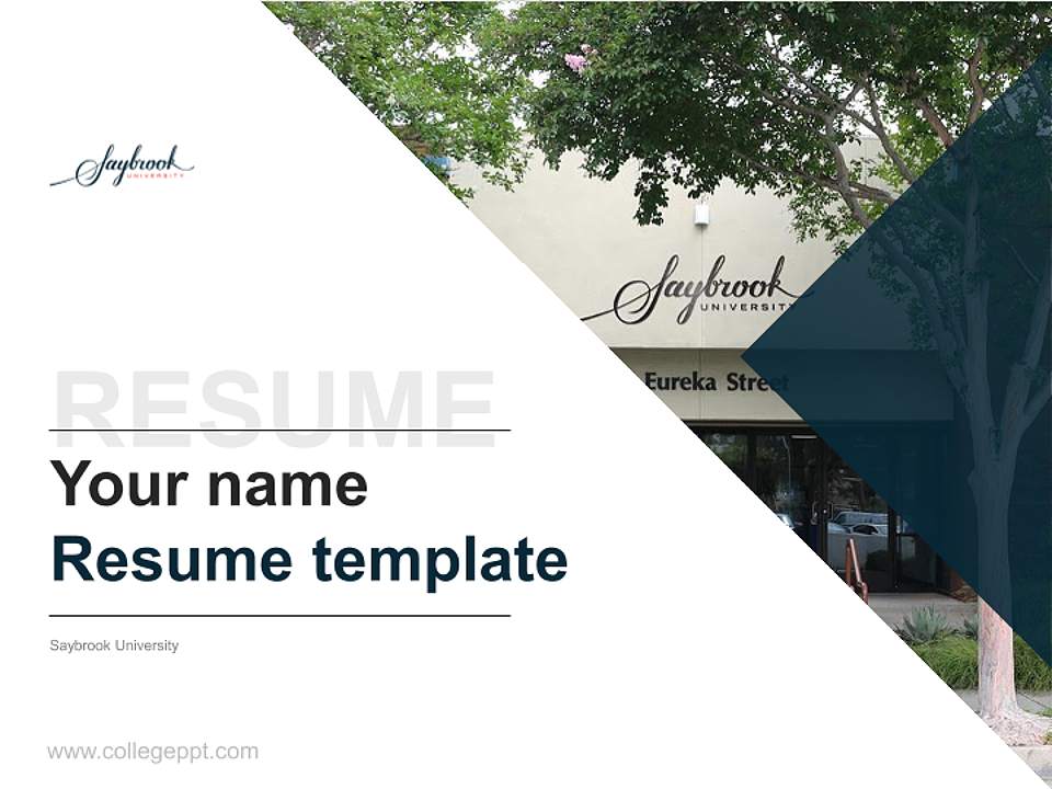 Saybrook University Resume PPT Template4:3 ratio PPT effect preview image5
