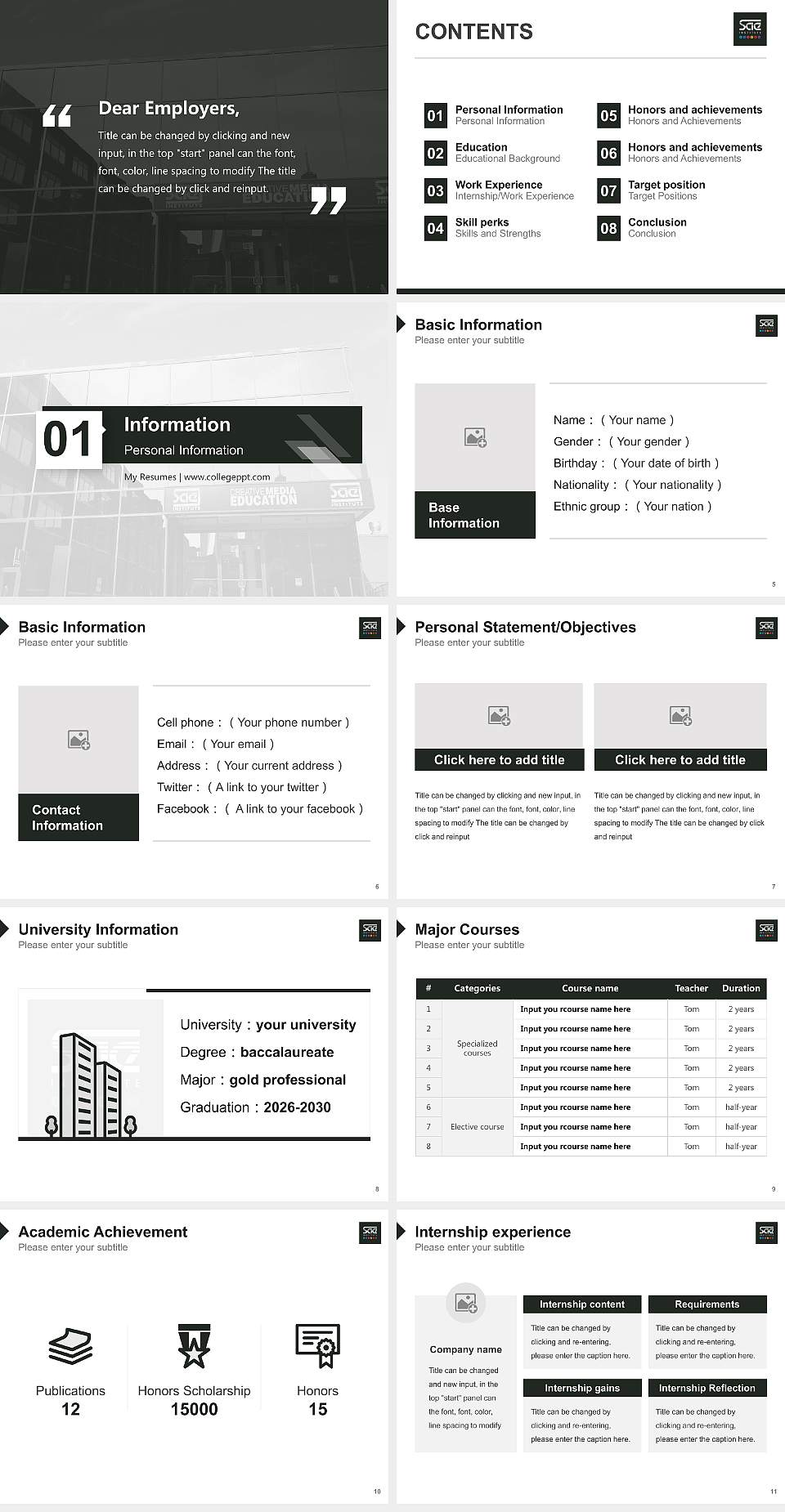 Sae Institute of Technology-Chicago Resume PPT Template4:3 ratio PPT effect preview image2