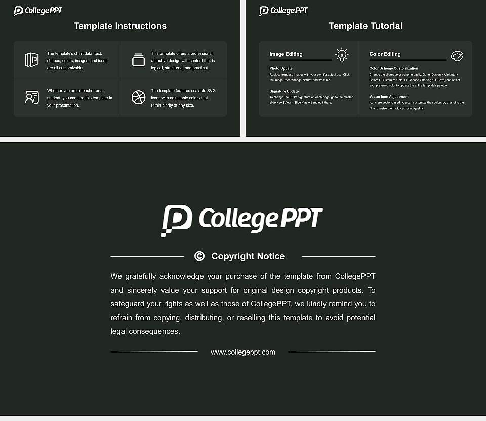 Sae Institute of Technology-Chicago Course/Courseware Creation PPT Template16:9 ratio PPT effect preview image5