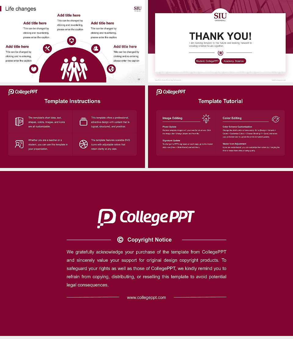 Southern Illinois University-Carbondale National Scholarship Defense PPT Template16:9 ratio PPT effect preview image4