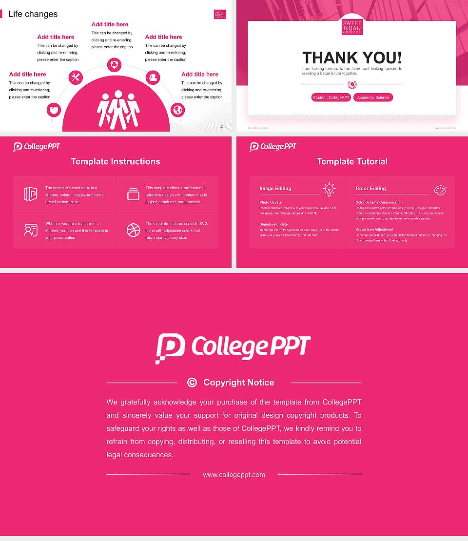 Sweet Briar College National Scholarship Defense PPT Template16:9 ratio PPT effect preview image4