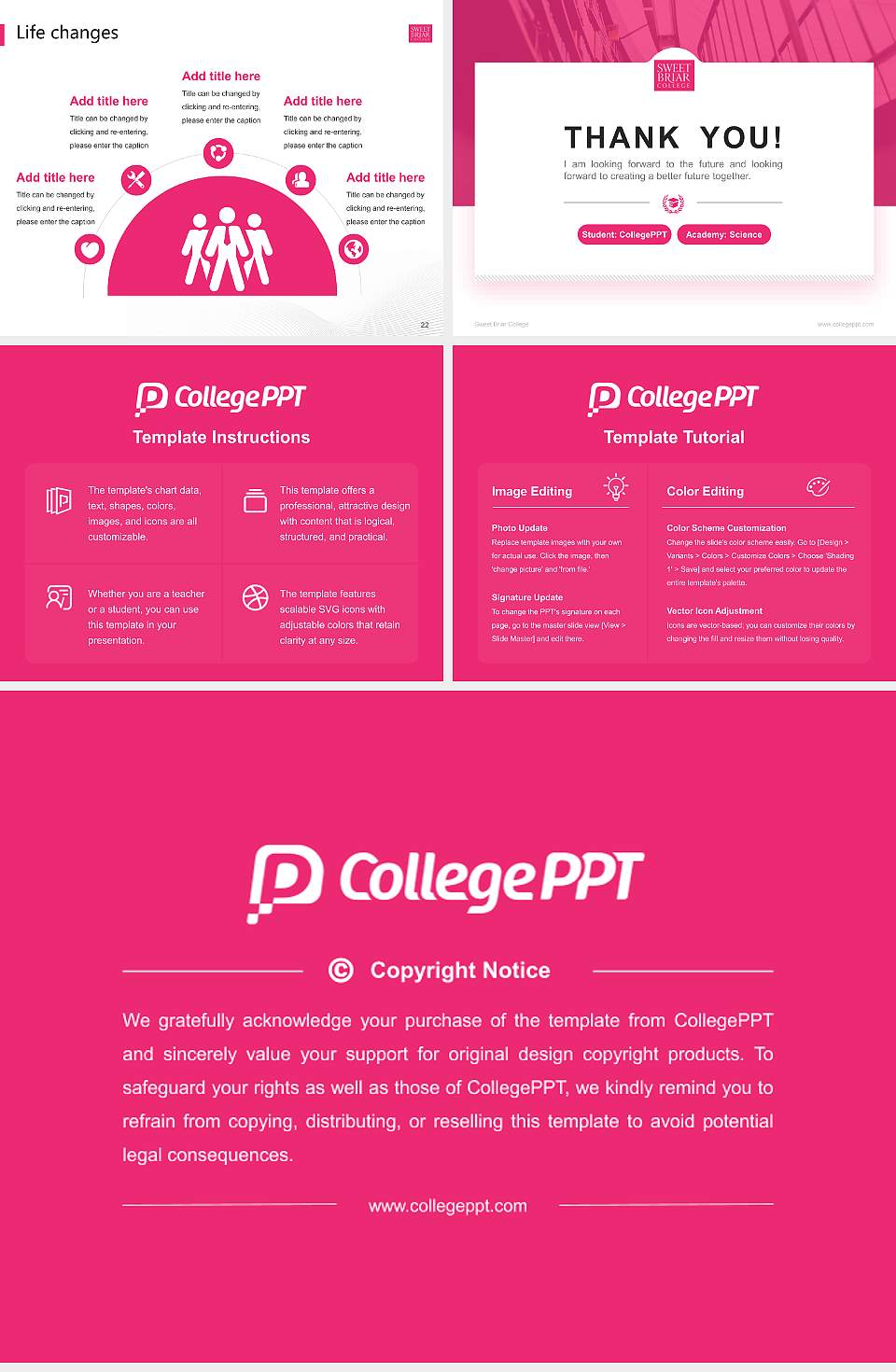 Sweet Briar College National Scholarship Defense PPT Template4:3 ratio PPT effect preview image4