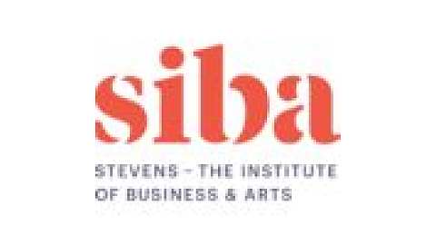 Stevens-The Institute of Business & Arts