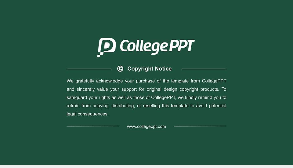 Stetson University Resume PPT Template16:9 ratio PPT effect preview image5