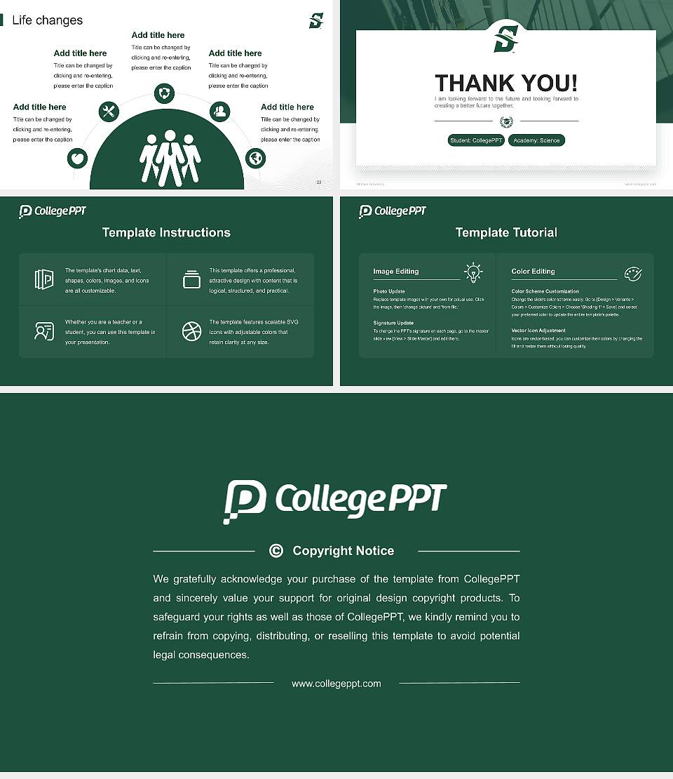 Stetson University National Scholarship Defense PPT Template16:9 ratio PPT effect preview image4