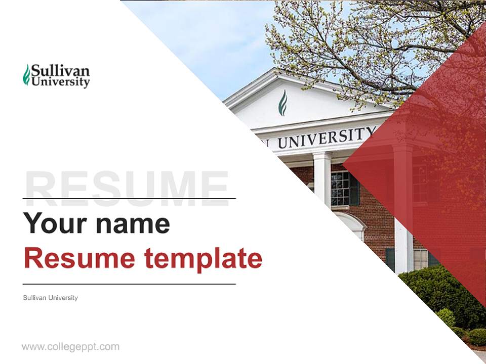 Sullivan University Resume PPT Template4:3 ratio PPT effect preview image5
