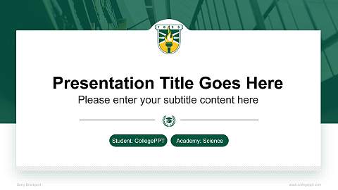 Suny Brockport National Scholarship Defense PPT Template