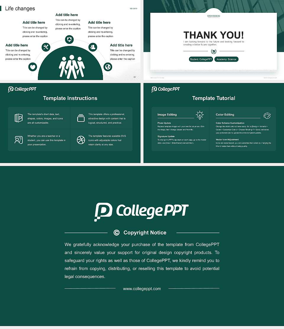 Stevenson University National Scholarship Defense PPT Template16:9 ratio PPT effect preview image4