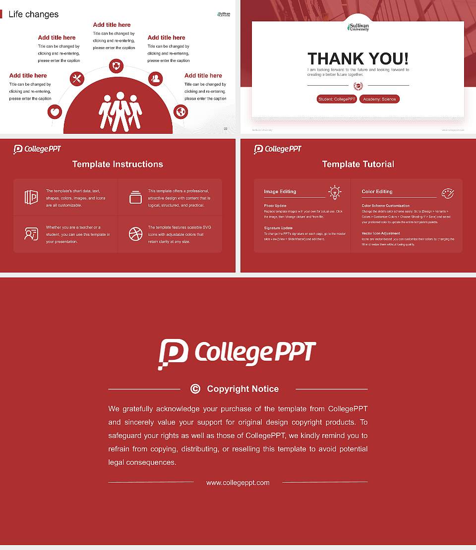 Sullivan University National Scholarship Defense PPT Template16:9 ratio PPT effect preview image4