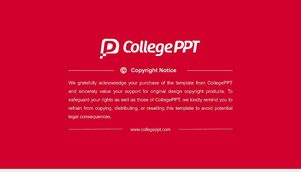 The University of Tampa Resume PPT Template16:9 ratio PPT effect preview image5