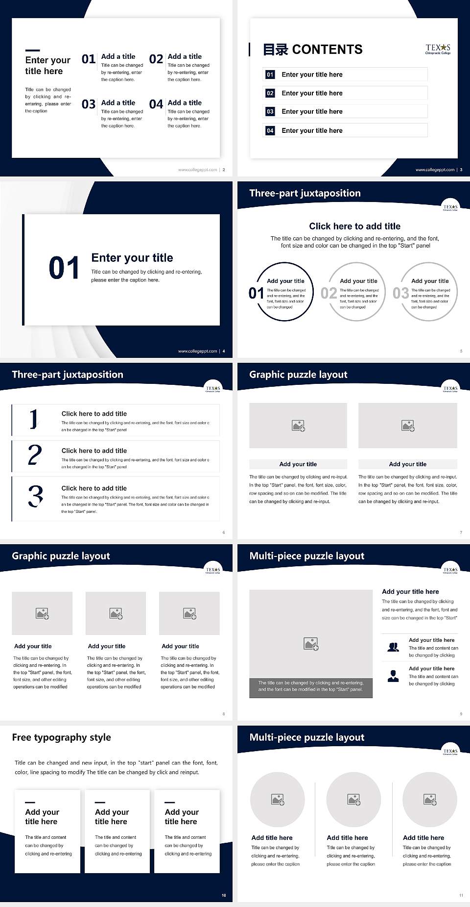 Texas Chiropractic College Academic Presentation/Research Findings Report PPT Template4:3 ratio PPT effect preview image2