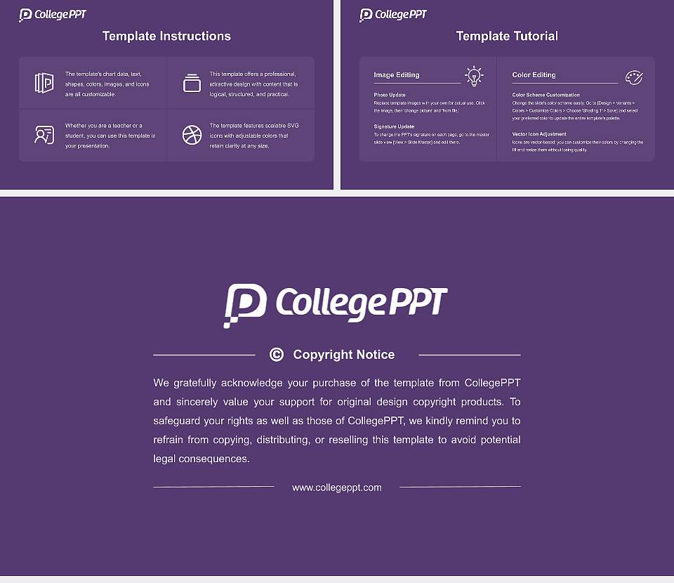 Texas College Course/Courseware Creation PPT Template16:9 ratio PPT effect preview image5