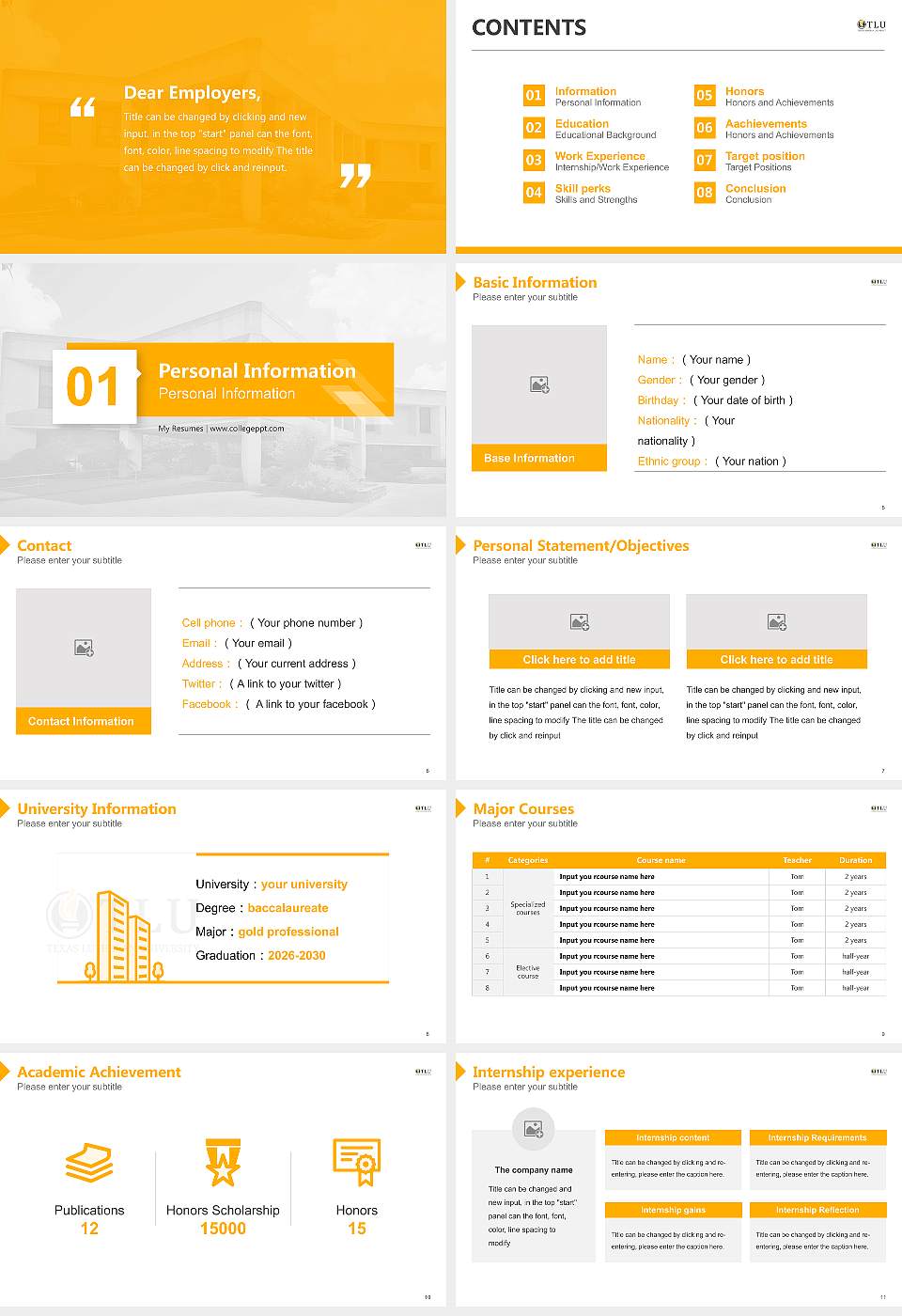 Texas Lutheran University Resume PPT Template16:9 ratio PPT effect preview image2