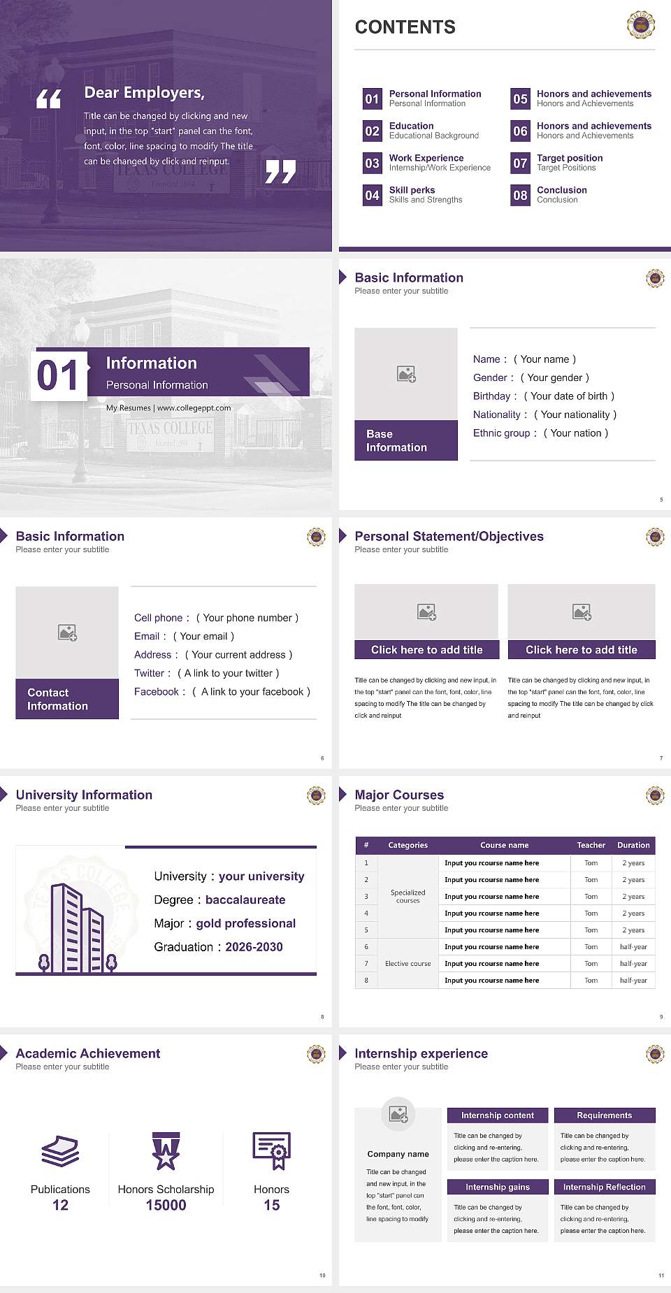 Texas College Resume PPT Template4:3 ratio PPT effect preview image2