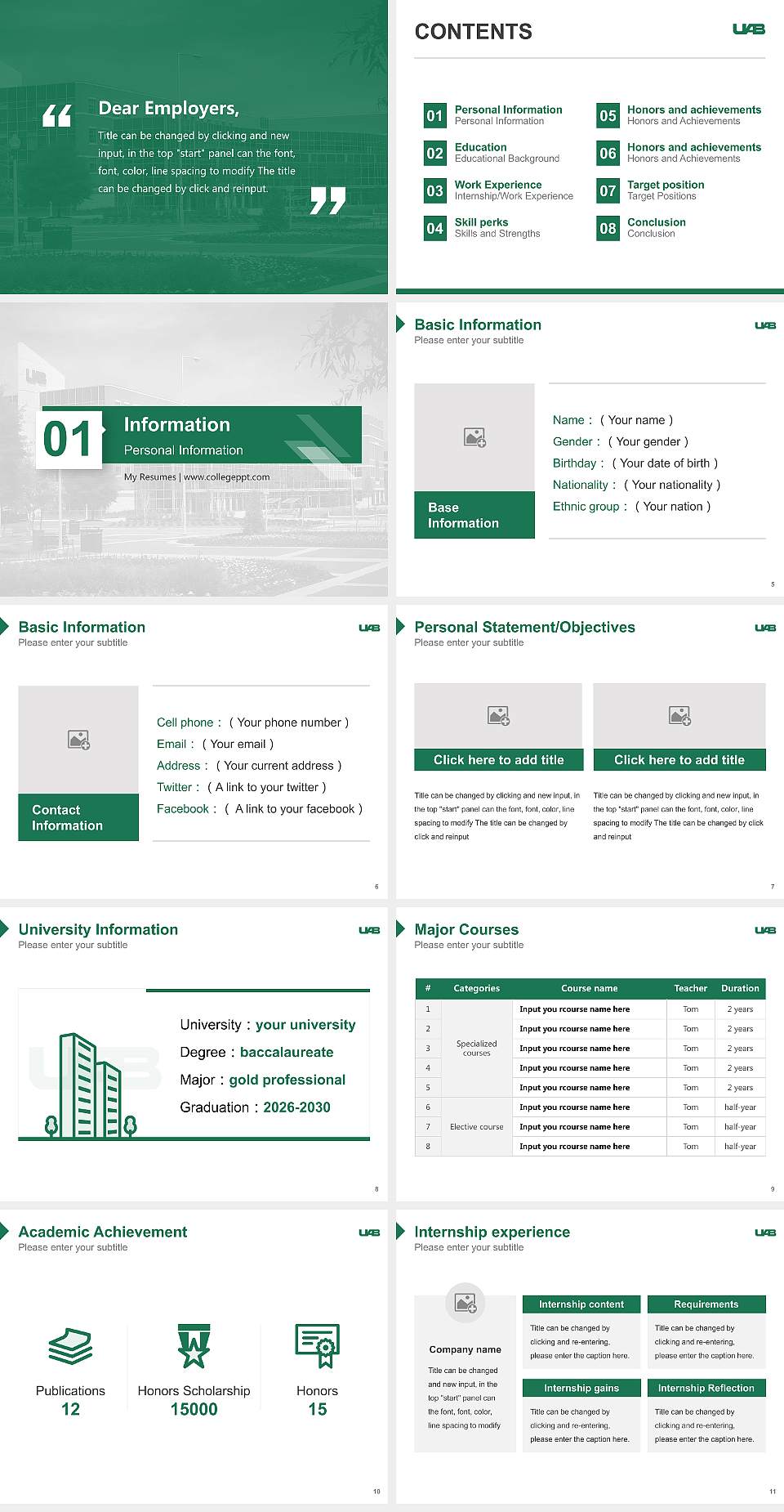 University of Alabama at Birmingham Resume PPT Template4:3 ratio PPT effect preview image2