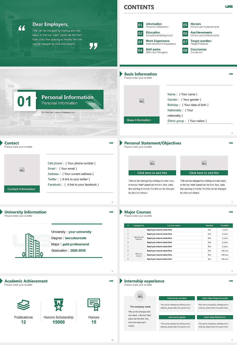 University of Alabama at Birmingham Resume PPT Template16:9 ratio PPT effect preview image2