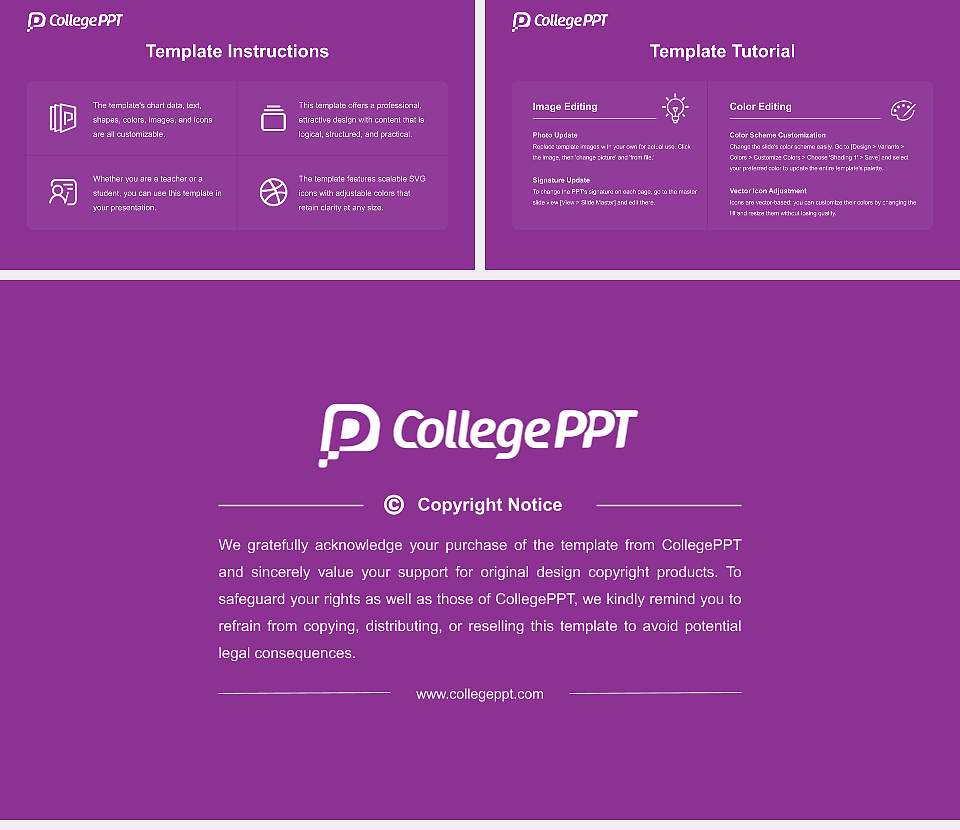 Universidad Central De Bayamon Course/Courseware Creation PPT Template16:9 ratio PPT effect preview image5