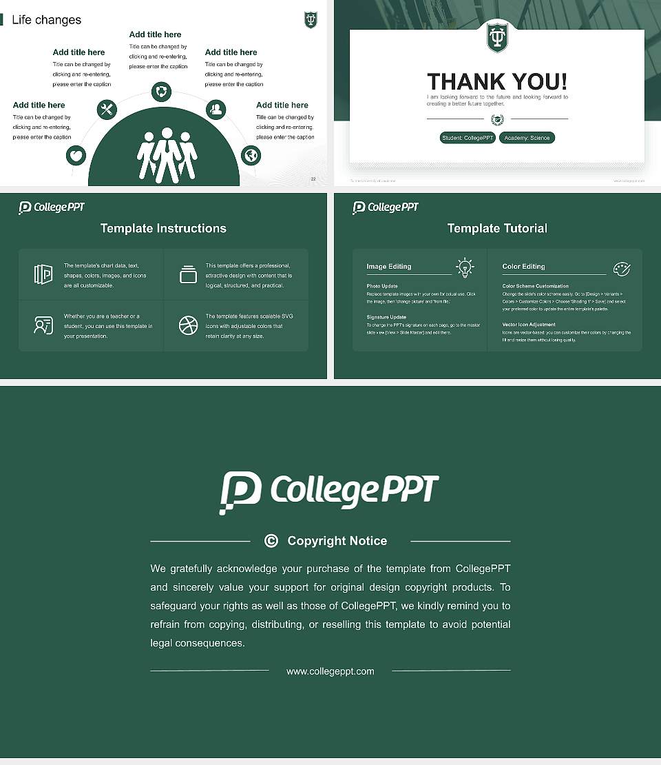 Tulane University of Louisiana National Scholarship Defense PPT Template16:9 ratio PPT effect preview image4