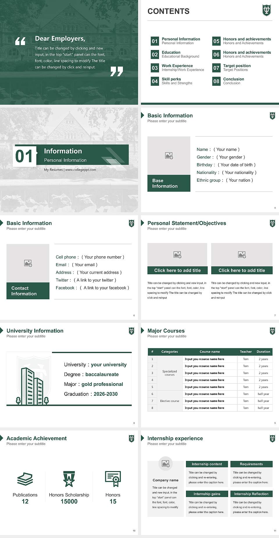 Tulane University of Louisiana Resume PPT Template4:3 ratio PPT effect preview image2