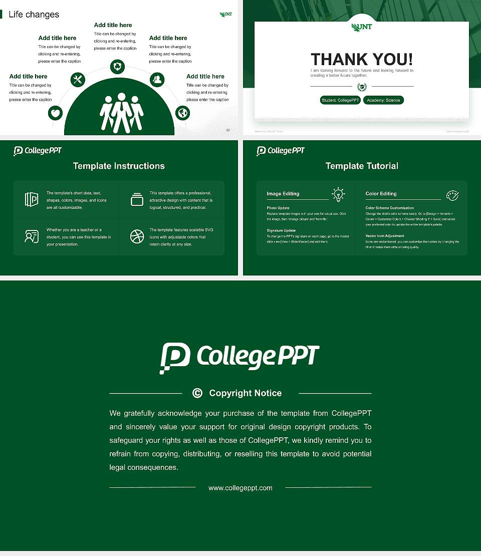 University of North Texas National Scholarship Defense PPT Template16:9 ratio PPT effect preview image4